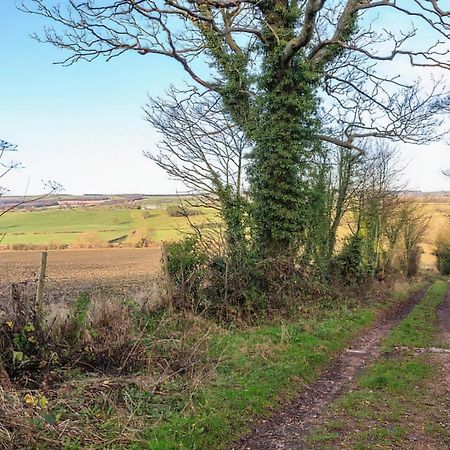 Hall Farm Cottage Byers Green المظهر الخارجي الصورة